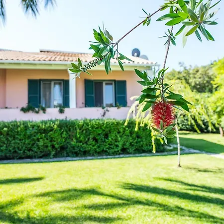 Giovanna 카시오피